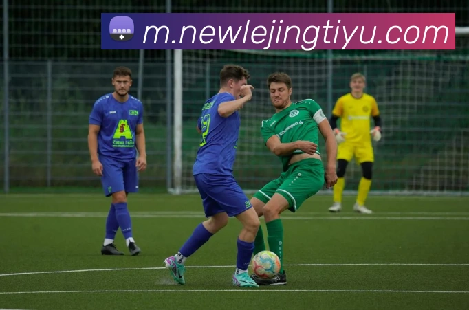 App Interface Preview